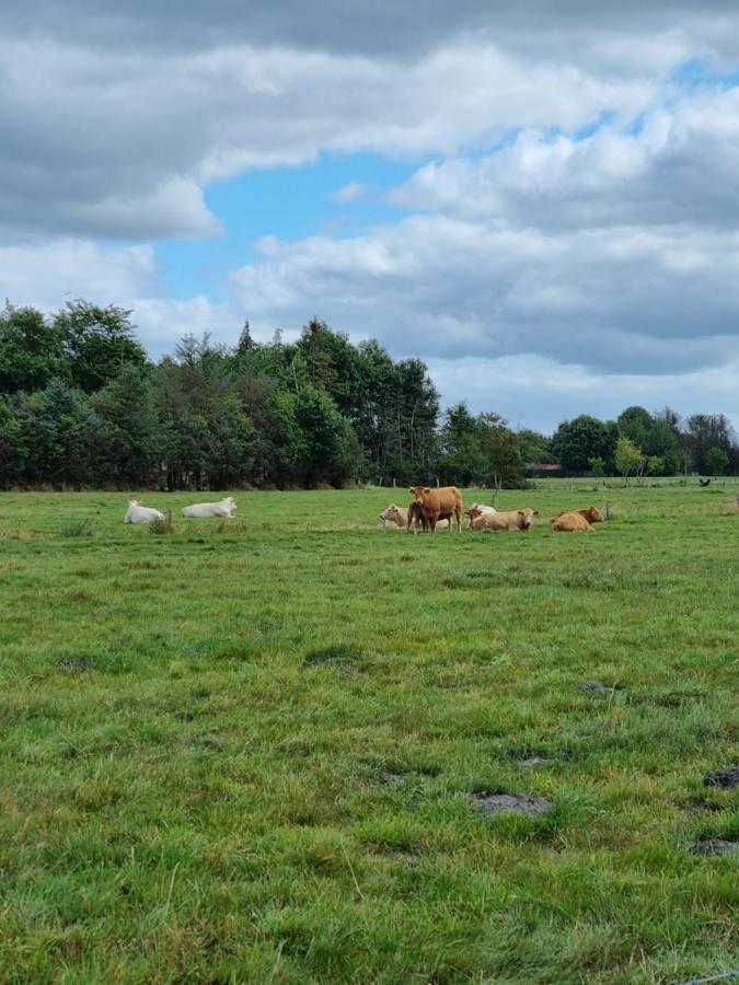 Haus Moor Merland Holiday home